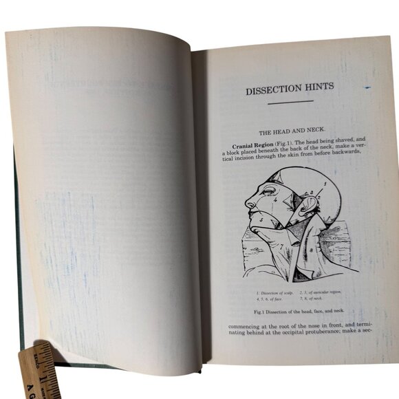 The Concise Grays Anatomy Book by C.H. Leonard AM MD Chartwell Books 1983  Omega - Picture 9 of 16